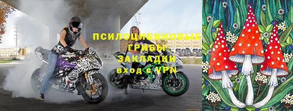 СК Арсеньев