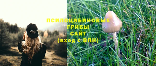 СК Арсеньев