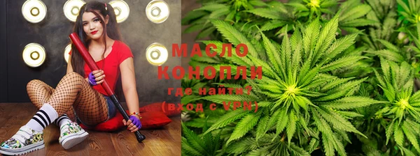 мяу мяу мука Аркадак