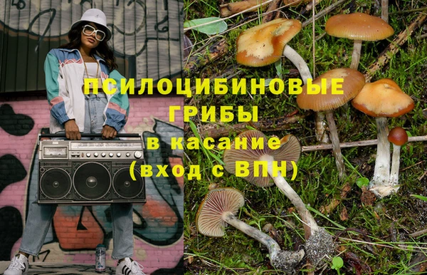 мяу мяу мука Аркадак
