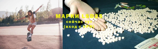 мяу мяу мука Аркадак