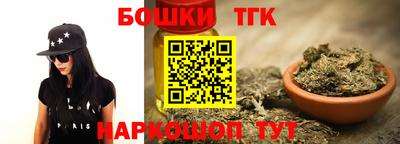 мдпв Камень-на-Оби