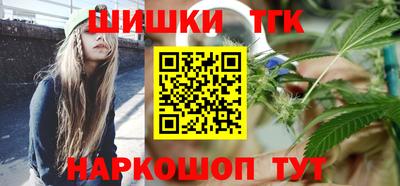 мдпв Камень-на-Оби