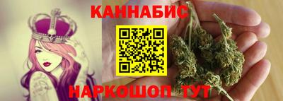 мдпв Камень-на-Оби