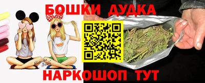 мдпв Камень-на-Оби