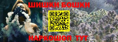 мдпв Камень-на-Оби