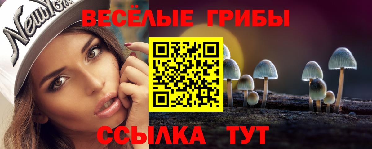 Галлюциногенные грибы Cubensis  Вход с VPN  Карабулак 