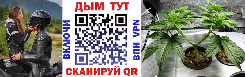 Конопля тримм  Карабулак 